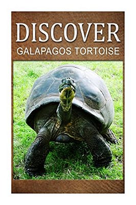 Galapagos Tortoise - Discover: Early Reader's Wildlife Photography Book-..