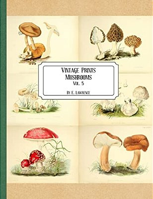 Vintage Prints: Mushrooms: Vol. 5-..