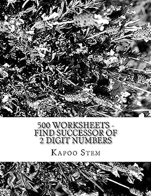 500 Worksheets - Find Successor Of 2 Digit Numbers: Math Practice Workbook-..