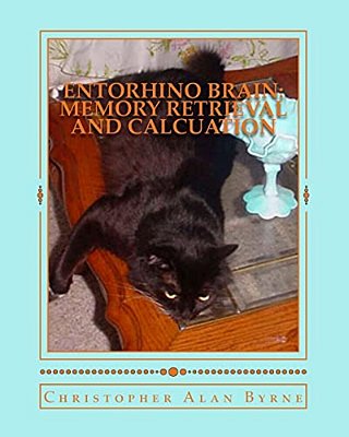 Entorhino Brain: Memory Retrieval And Calcuation: Photo Essay 48-..