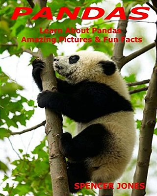 Pandas: Learn About Pandas Amazing Pictures & Fun Facts-..