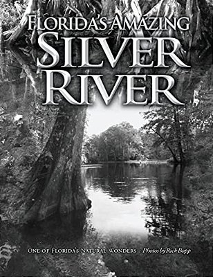 Florida's Amazing Silver River: One Of Florida's Natural Wonders-..