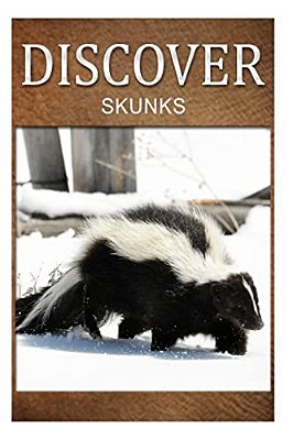 Skunks- Discover: Early Reader's Wildlife Photography Book-..