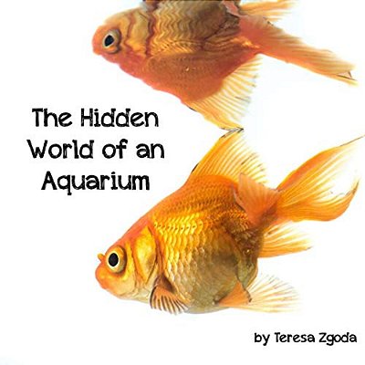 The Hidden World Of An Aquarium-..