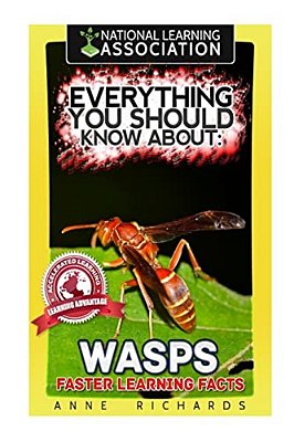 Everything You Should Know About: Wasps Faster Learning Facts-..