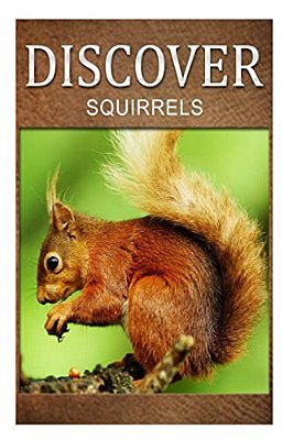 Squirrel - Discover: Early Reader's Wildlife Photography Book-..