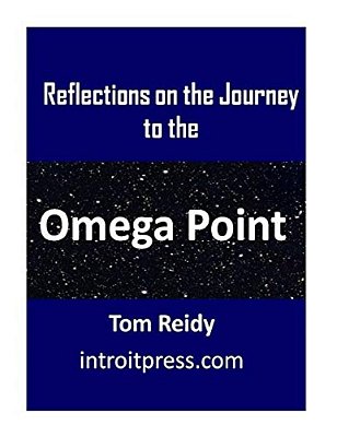 Reflections On The Journey To The Omega Point-..
