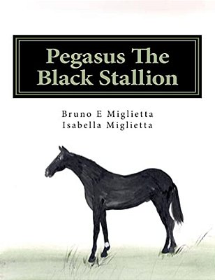 Pegasus The Black Stallion-..