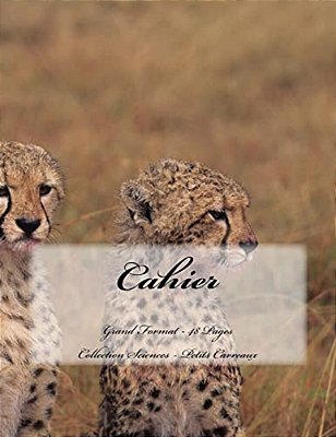 Cahier - Grand Format - 48 Pages - Collection Sciences: Petits Carreaux - Design Original 9-..