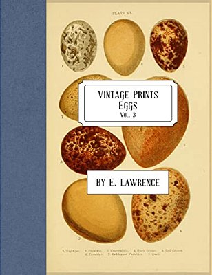Vintage Prints: Eggs: Vol. 3-..