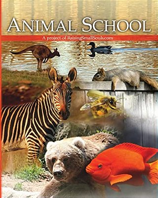 Animal School-..