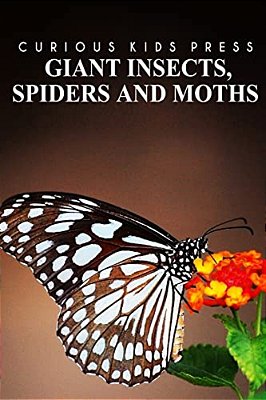Giant Insects, Spiders And Moths - Curious Kids Press: Kids Book About Animals And Wildlife, Children's Books 4-6-..