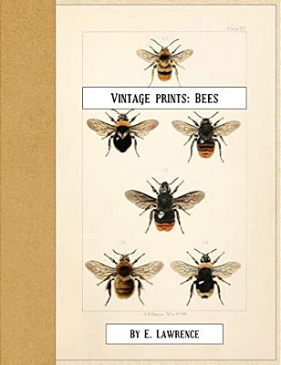 Vintage Prints: Bees-..