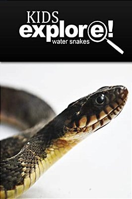 Water Snake - Kids Explore: Animal Books Nonfiction - Books Ages 5-6-..