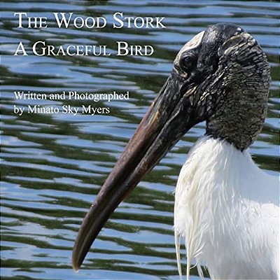 The Wood Stork: A Graceful Bird-..