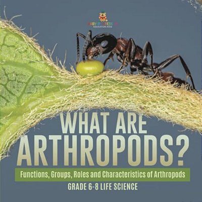 What Are Arthropods? Functions, Groups, Roles And Characteristics Of Arthropods Grade 6-8 Life Science-..