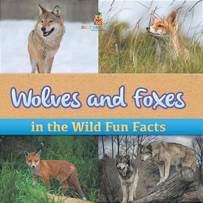 Wolves And Foxes In The Wild Fun Facts-..