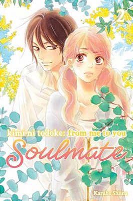 Kimi Ni Todoke: From Me To You: Soulmate, Vol. 2-..