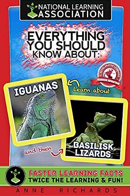 Everything You Should Know About: Iguanas And Basilisk Lizards-..