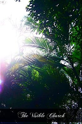 The Visible Church: Her Government, Ceremonies, Sacramentals, Festivals, And Devotions-..