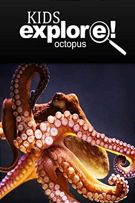 Octopus - Kids Explore: Animal Books Nonfiction - Books Ages 5-6-..