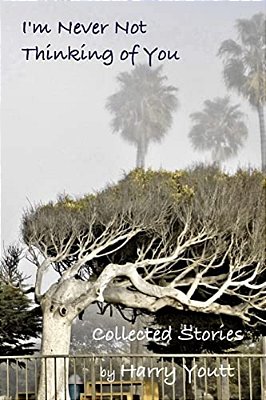 I'm Never Not Thinking Of You: Collected Stories-..