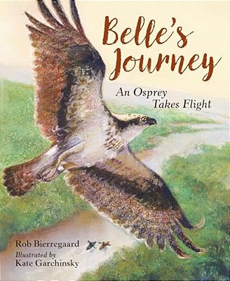 Belle's Journey: An Osprey Takes Flight-..