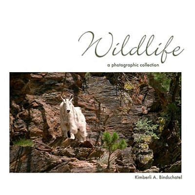 Wildlife: A Photographic Collection-..