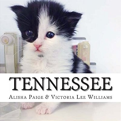 Tennessee: This Is The True Life Story Of A Cat Who Survived Against All Odds To Become An Amazing Therapy Cat For Veterans And Children. -..