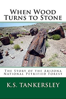 When Wood Turns To Stone: The Story Of The Arizona National Petrified Forest-..