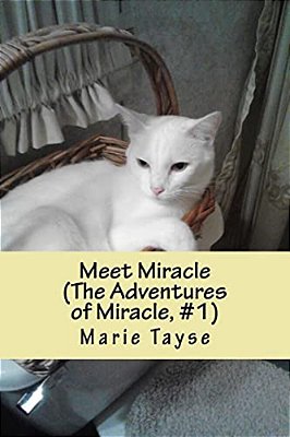 Meet Miracle: (The Adventures Of Miracle, Volume 1)-..