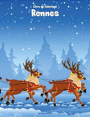 Livre De Coloriage Rennes 1-..