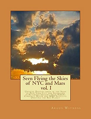 Seen Flying The Skies Of Nyc And Mars V1.0-..