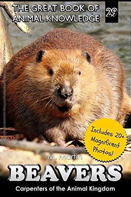 Beavers: Carpenters Of The Animal Kingdom-..