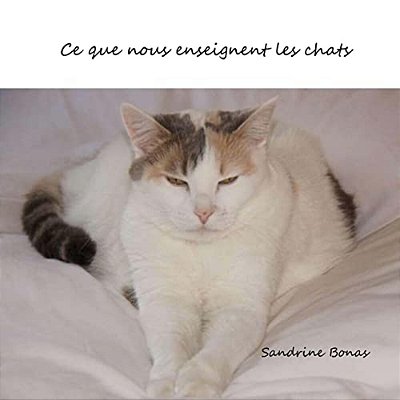 Ce Que Nous Enseignent Les Chats-..
