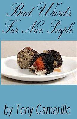 Bad Words For Nice People-..