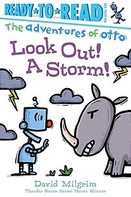 Look Out! A Storm!: Ready-To-read Pre-Level 1-..