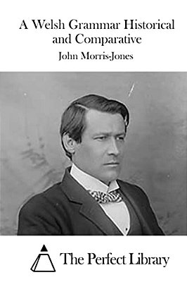 A Welsh Grammar Historical And Comparative-..