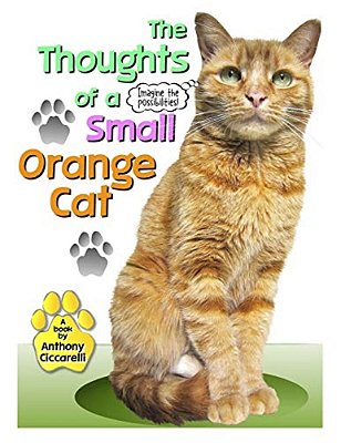The Thoughts Of A Small Orange Cat-..