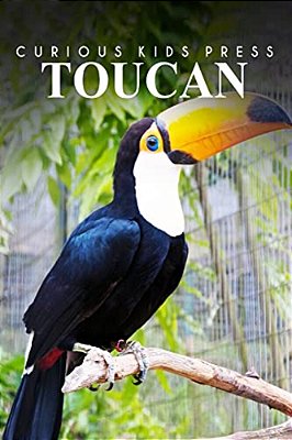 Toucan - Curious Kids Press: Kids Book About Animals And Wildlife, Children's Books 4-6-..