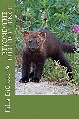 Beyond The Electric Fence-..