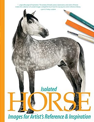 Isolated Horse Images For Artist's Reference And Inspiration-..