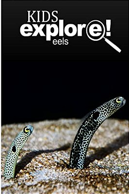 Eels - Kids Explore: Animal Books Nonfiction - Books Ages 5-6-..