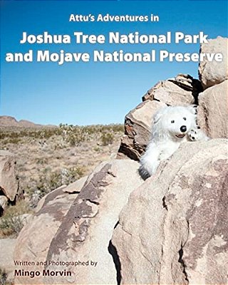 Attu's Adventures In Joshua Tree National Park And Mojave National Preserve-..