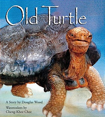 Old Turtle-..