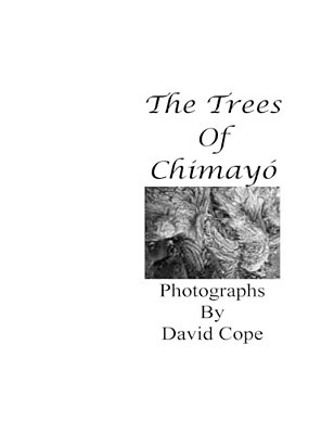 The Trees Of Chimayo-..
