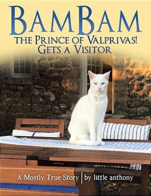 Bambam The Prince Of Valprivas! Gets A Visitor: A Mostly True Story-..