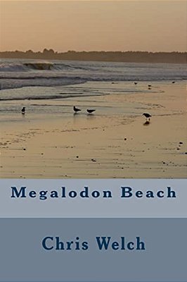 Megalodon Beach-..