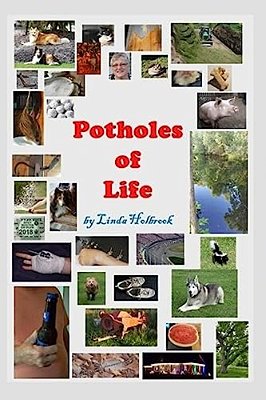 Potholes Of Life-..