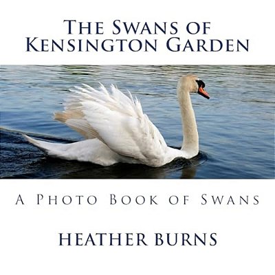 The Swans Of Kensington Garden: A Photo Book Of Swans-..